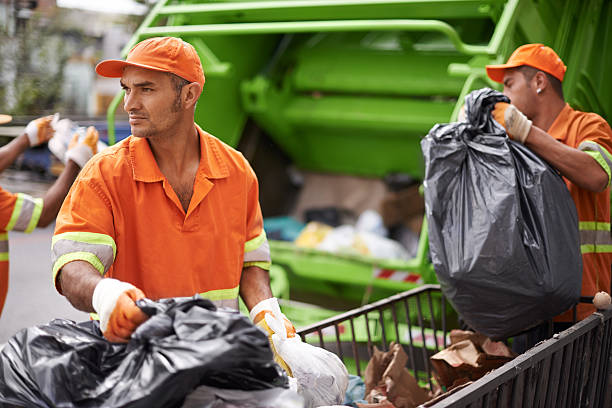 Debris Removal in Hyde Park, UT